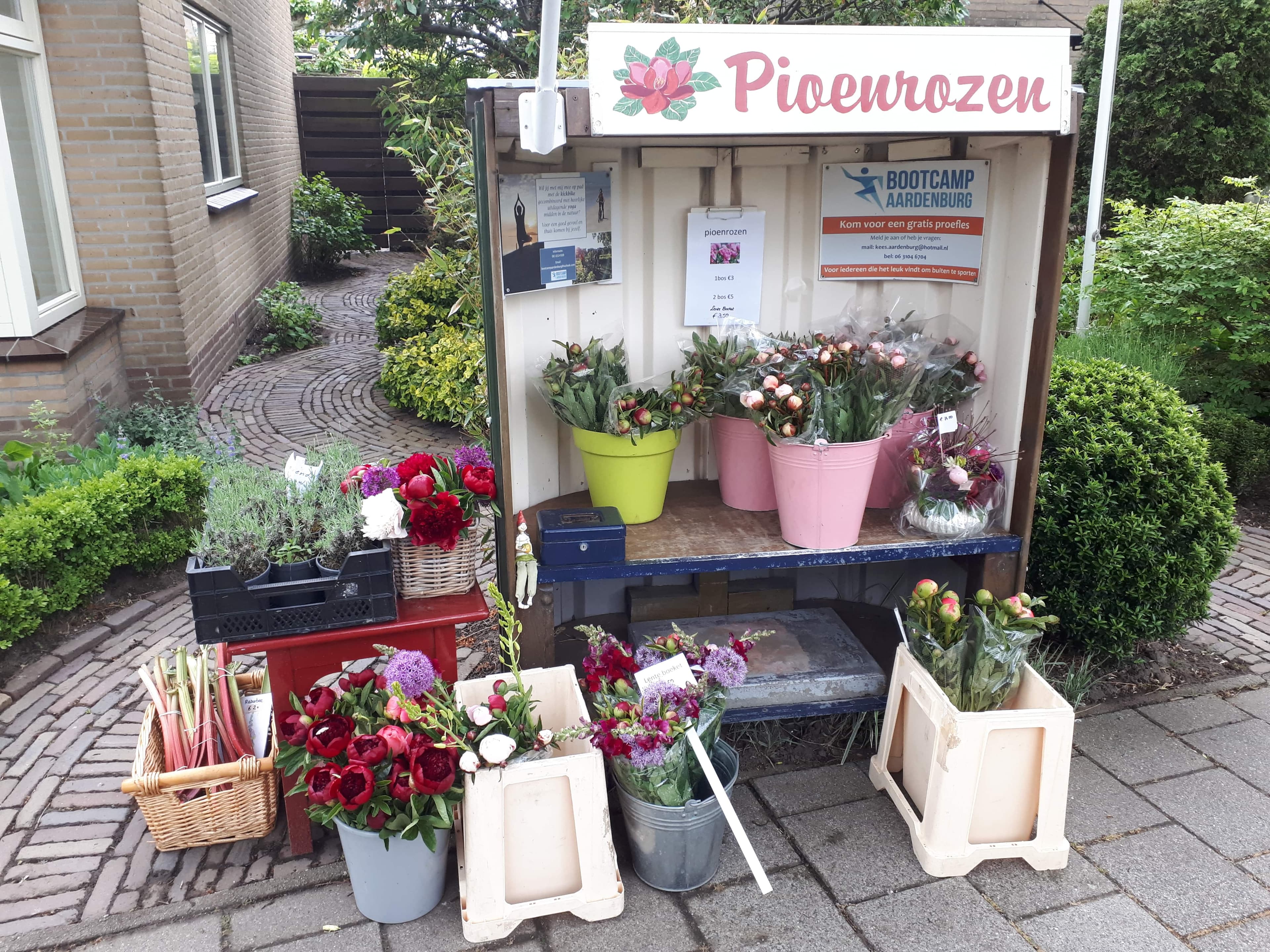 De Zevenhoeven — foto 1