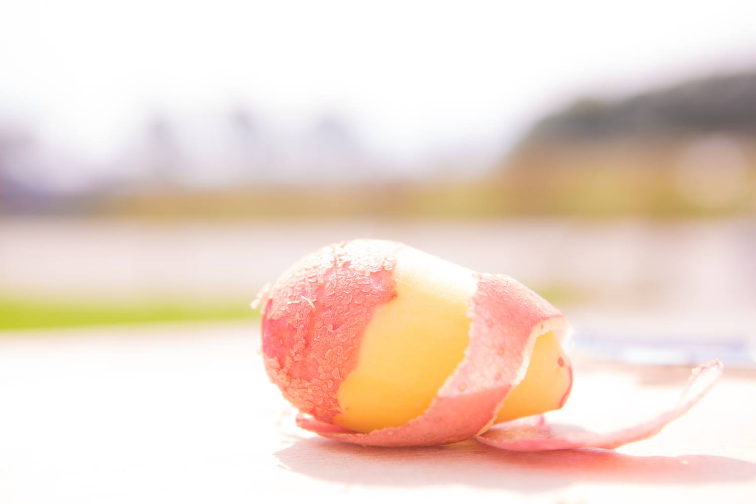 Aardappelen Bildstar en Frieslanders, BeemsterValery en pioenrozen — foto 1