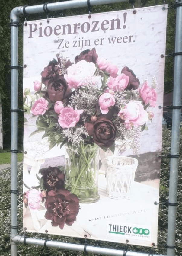 Thieck Akkerbouw en Sierteelt — foto 1