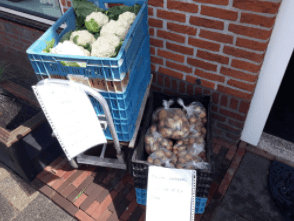 Aardappels en bloemkool — foto 1