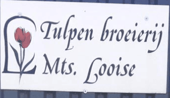 Maatschap Looise — foto 1