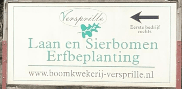 Boomkwekerij Versprille — foto 1