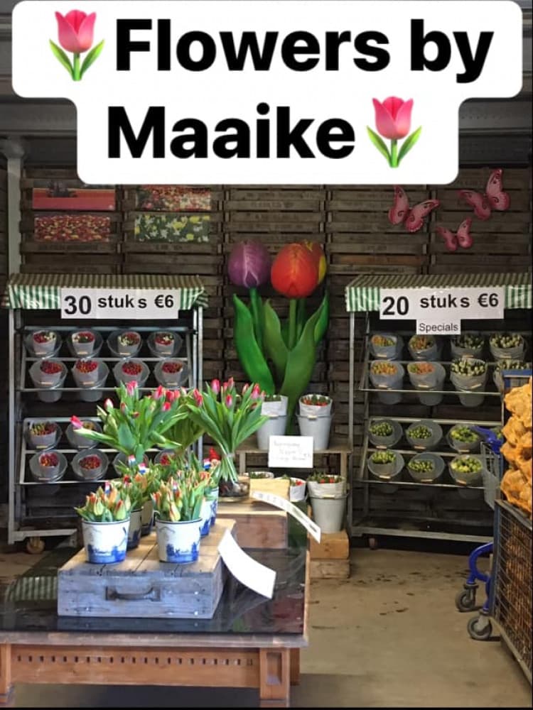 Flowers by Maaike — foto 1
