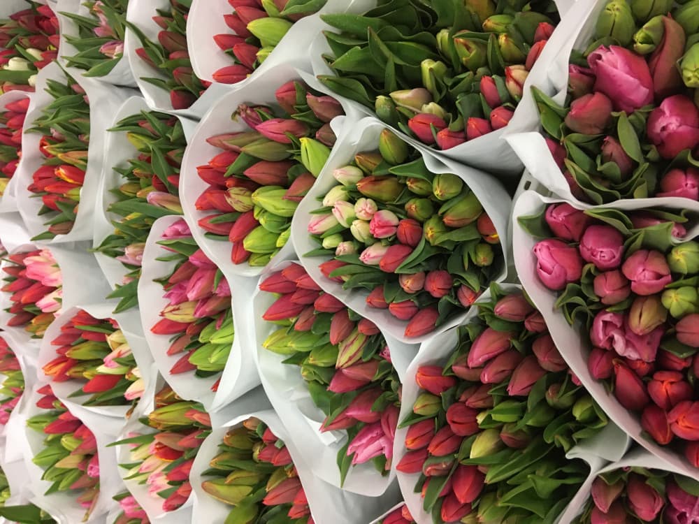 Flowers by Maaike — foto 3