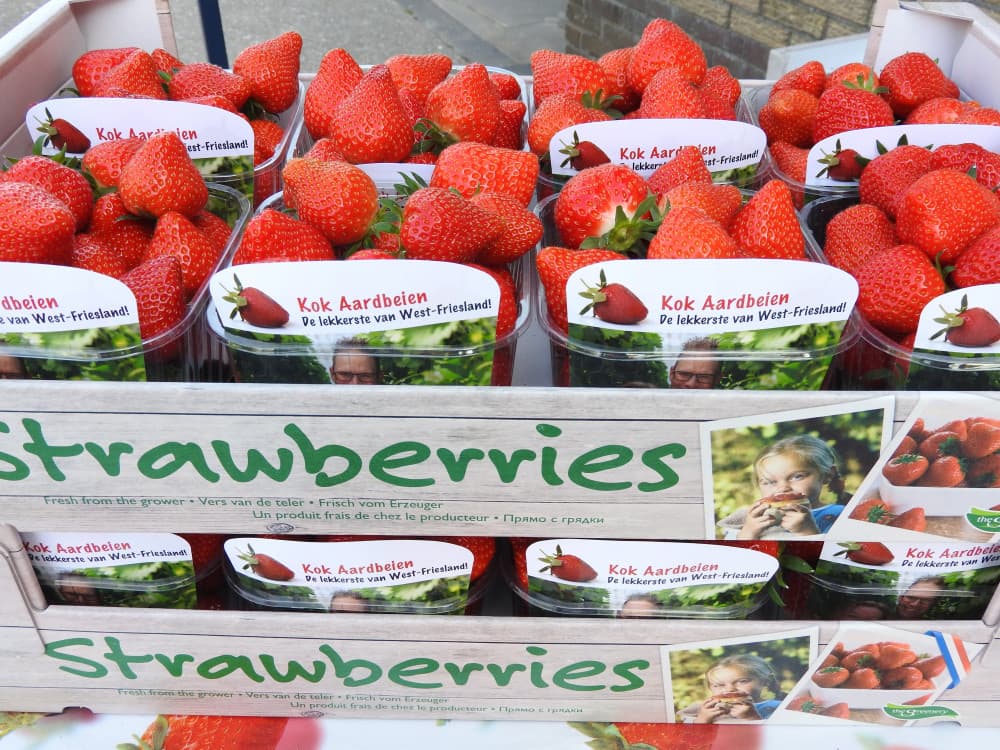 Kok Aardbeien — foto 1