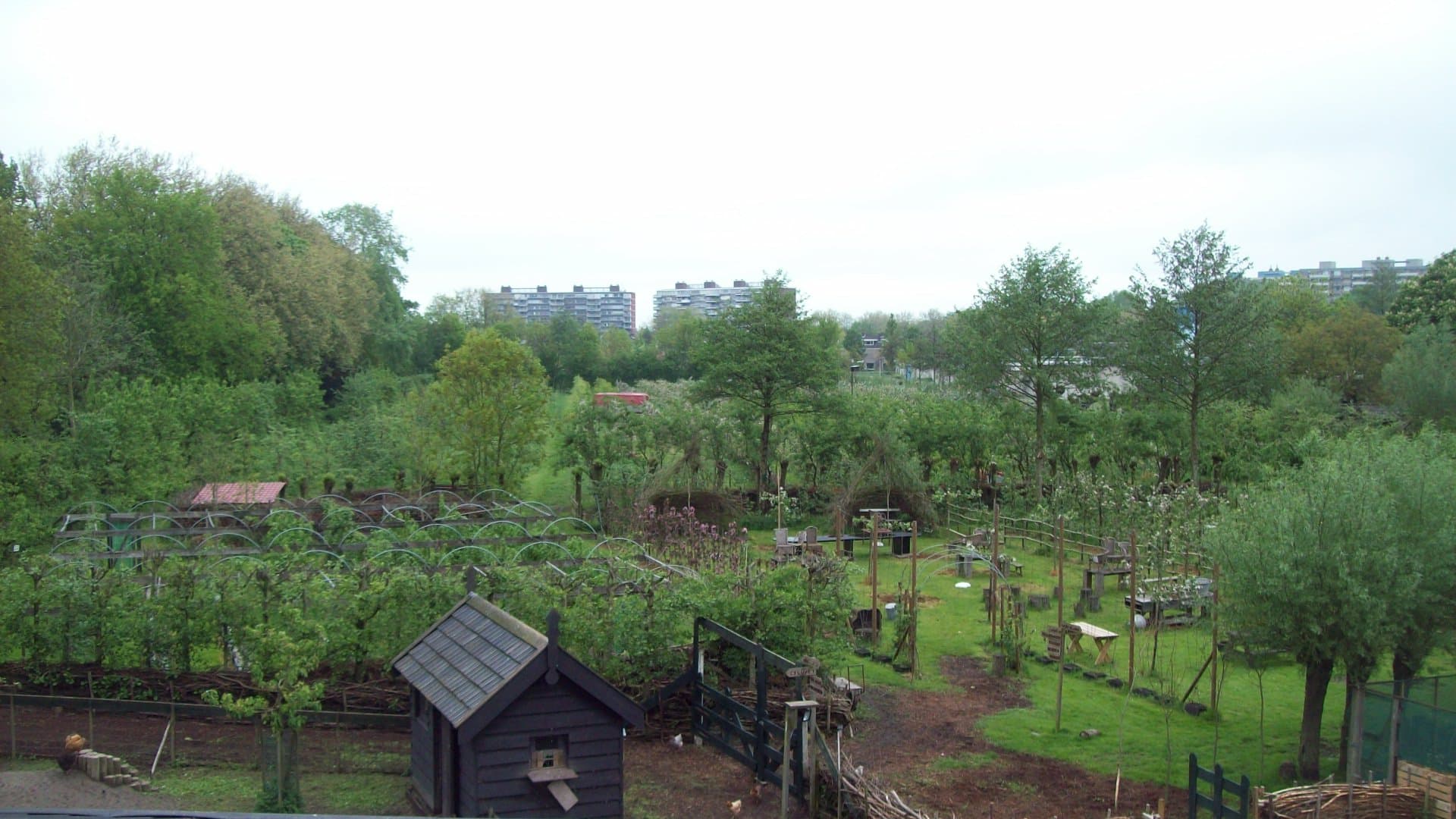 De Heerlijkheid van Papendrecht — foto 3