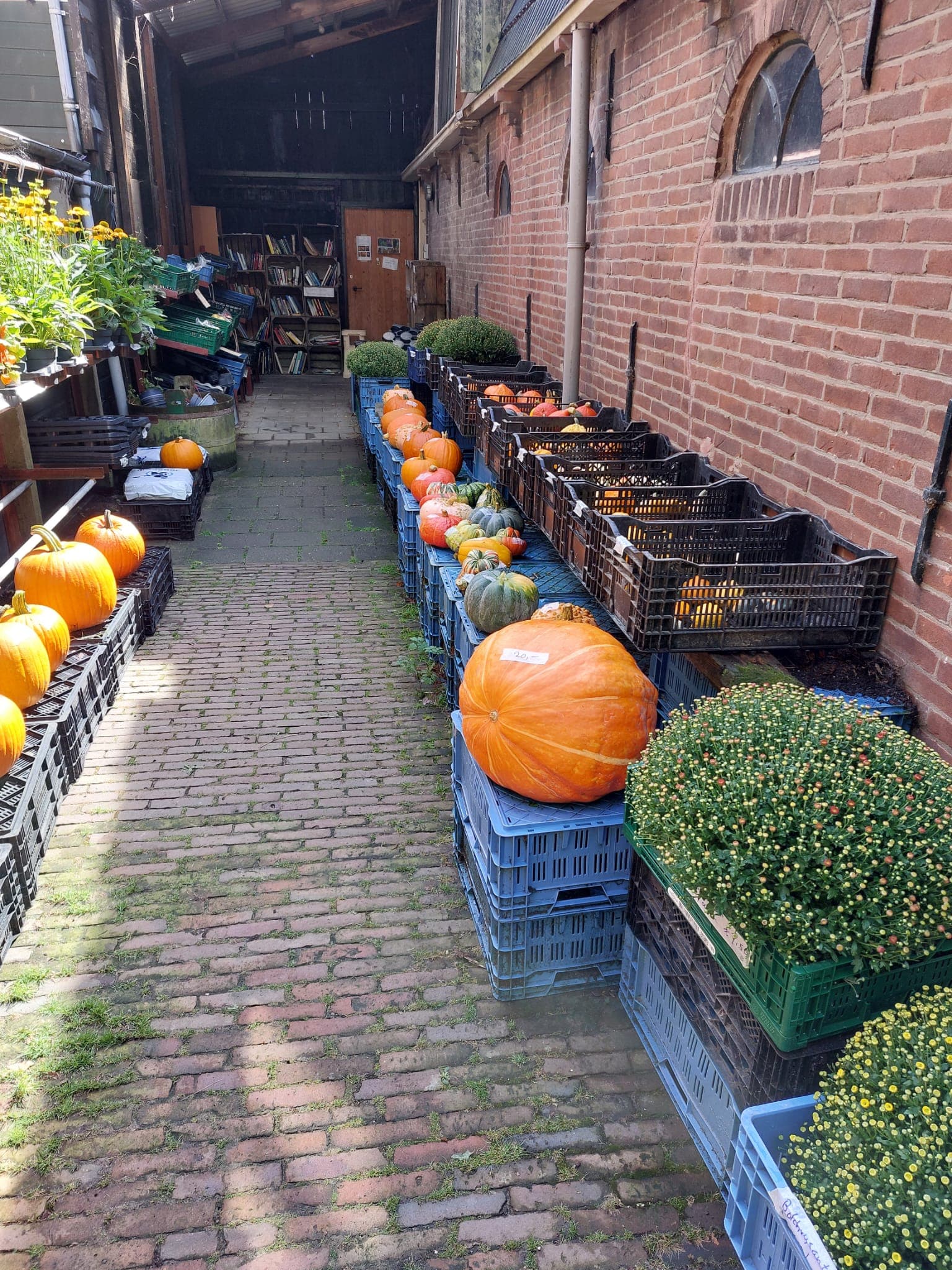 Langedijk — foto 2