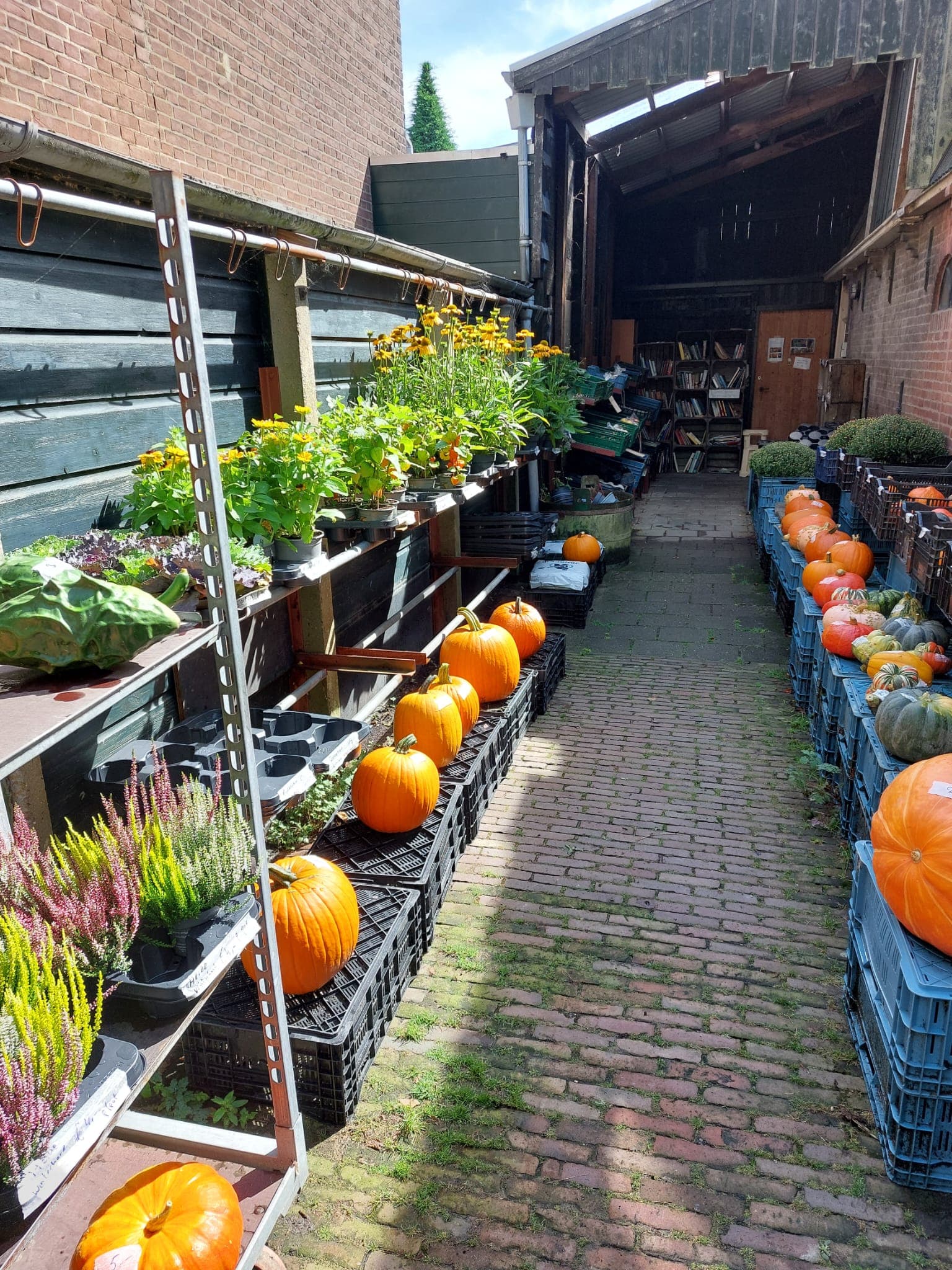 Langedijk — foto 1
