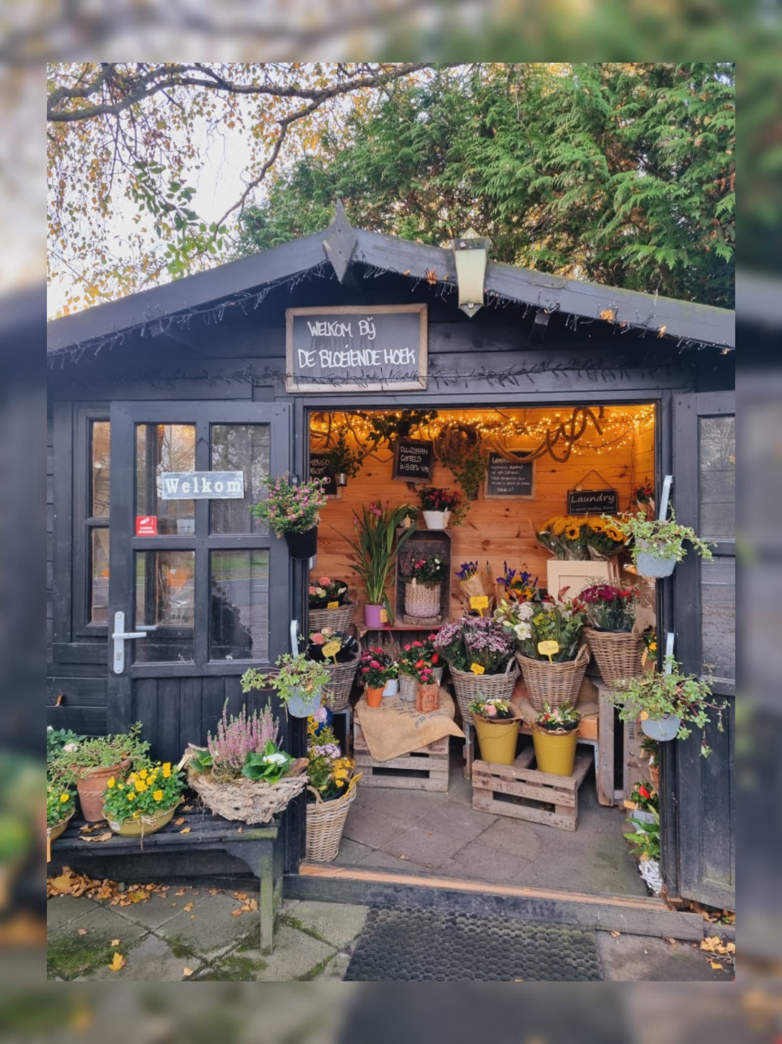 De Bloeiende Hoek, Bloemen en seizoensproducten — foto 1