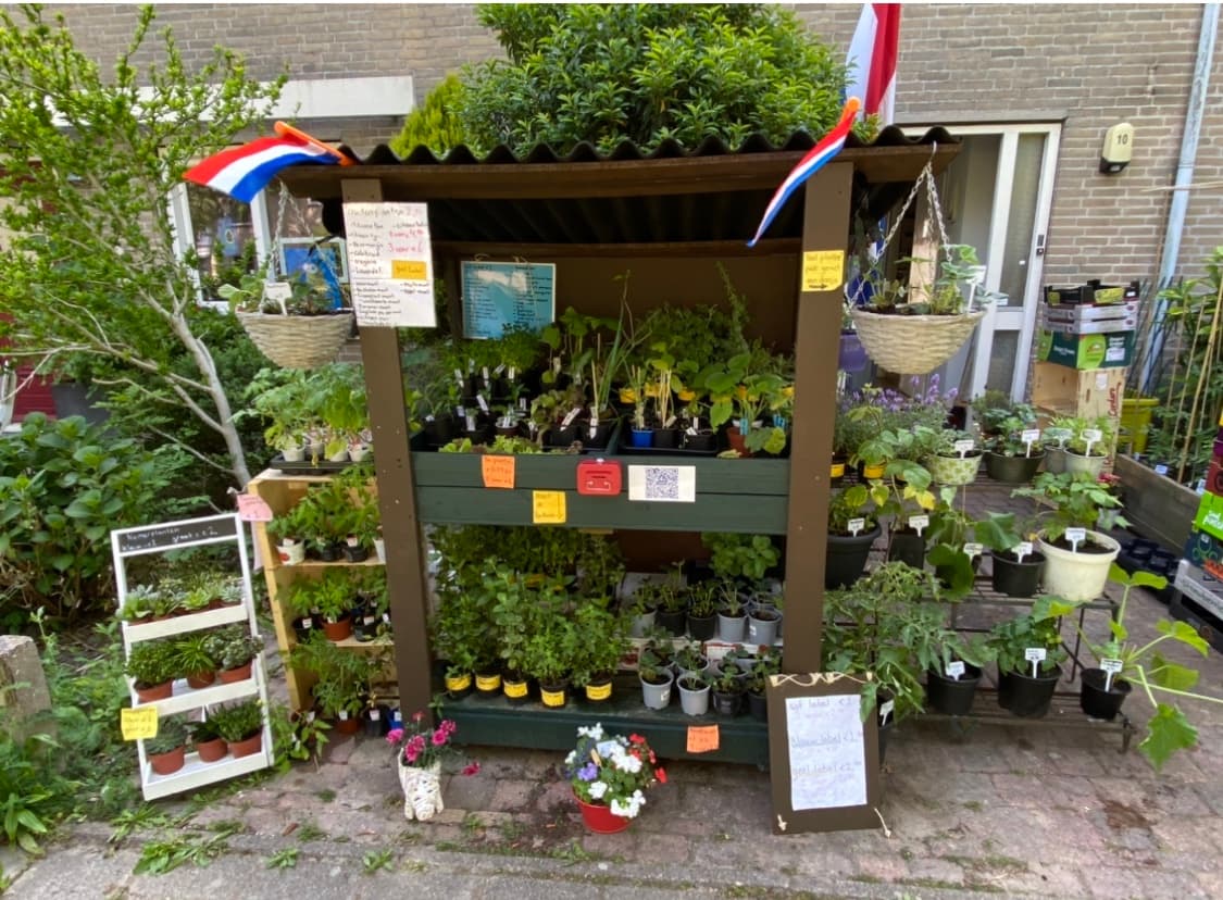 De Dresch 10 — foto 1
