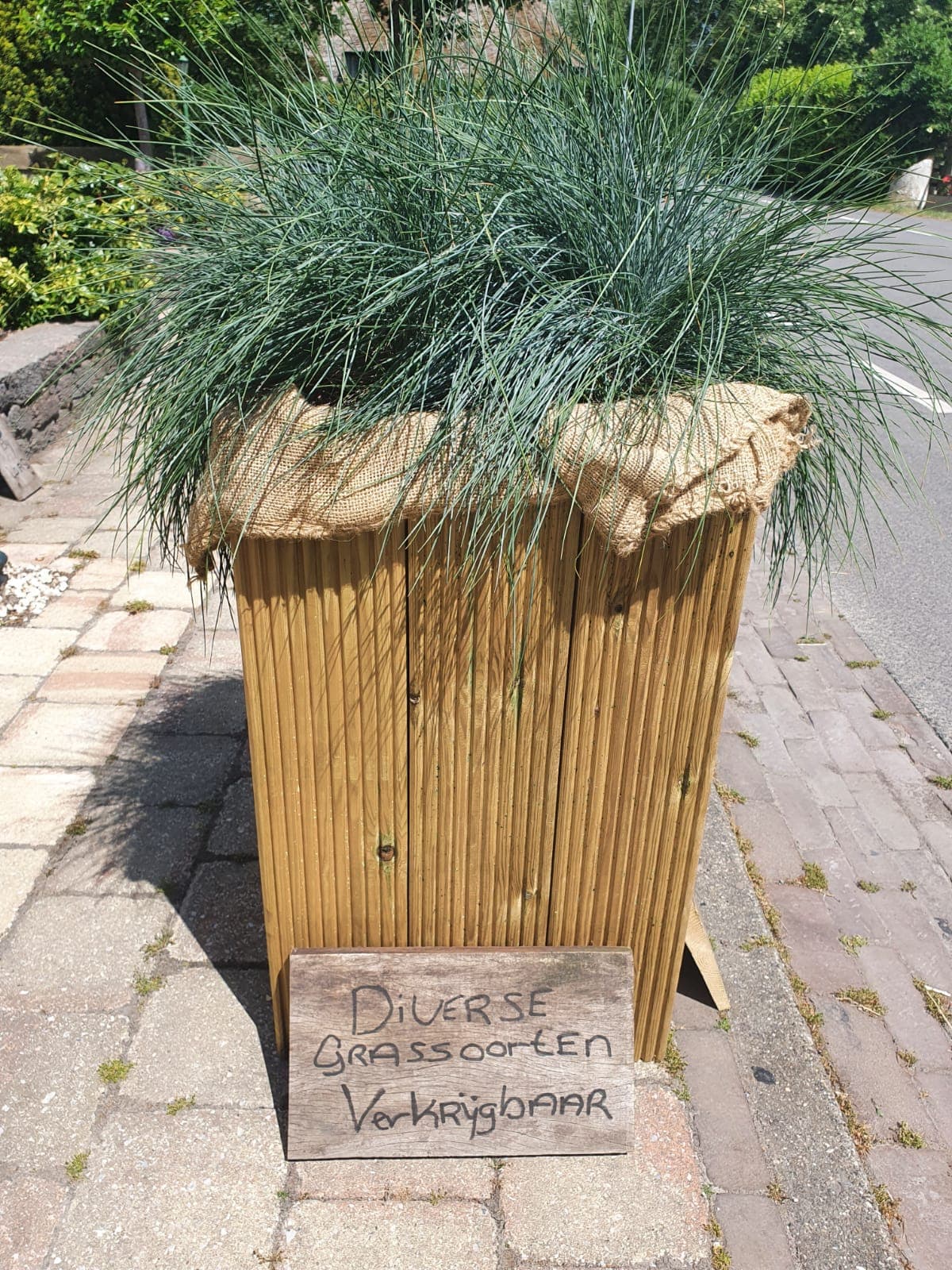 Plantenbak met grassen — foto 1