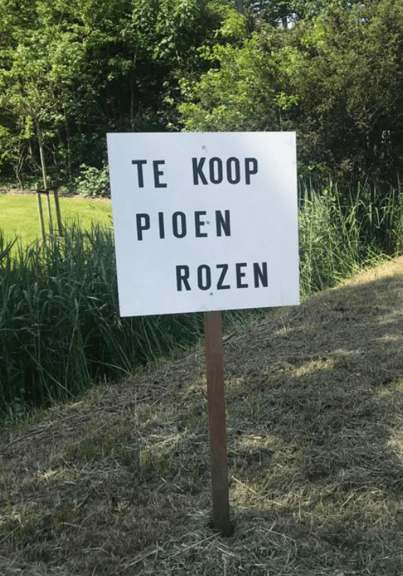 Ronald van Dun — foto 1