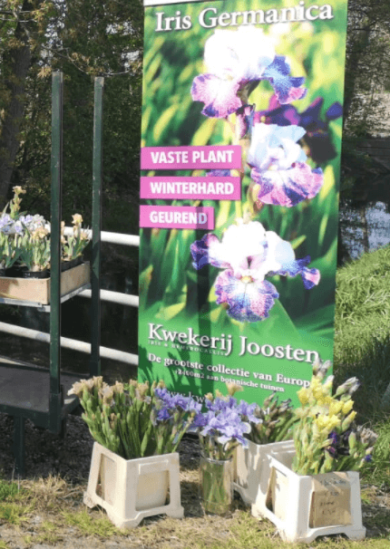 Kwekerij Joosten — foto 1