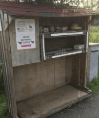 Kersen, aardbeien Holyweg 16 — foto 1