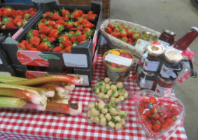 Aardbeienkwekerij Van Haperen – op de Rith — foto 1