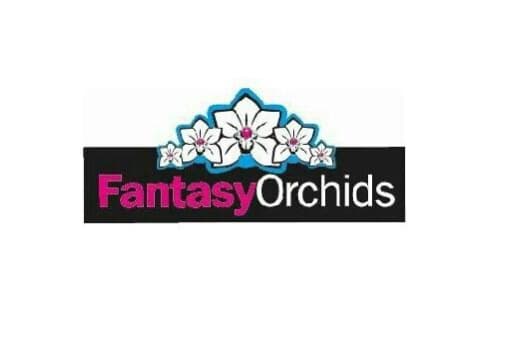 Orchideeënkwekerij Fantasy Orchids — foto 1