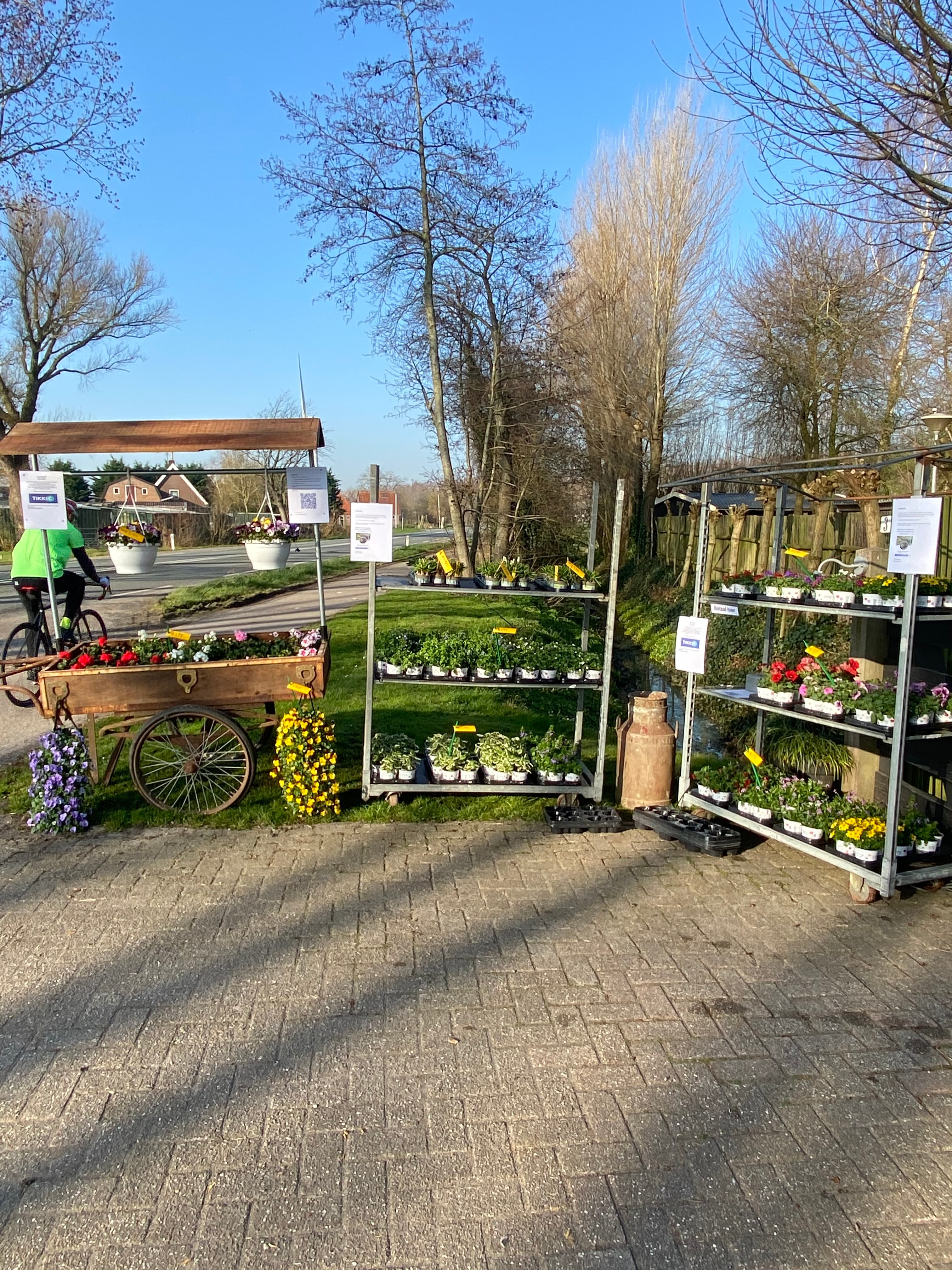 Sen zijn plantenkraam — foto 1