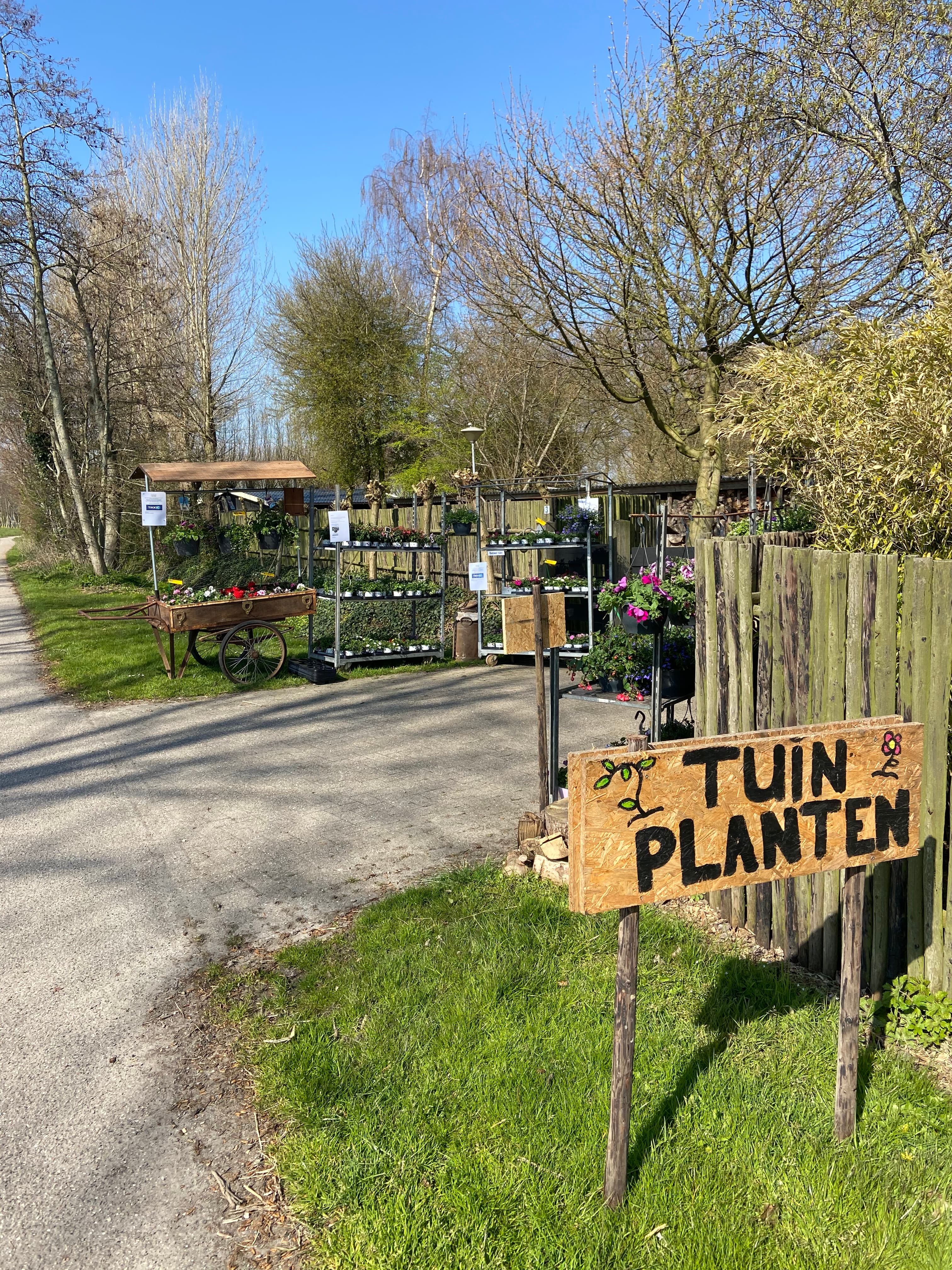 Sen zijn plantenkraam — foto 1