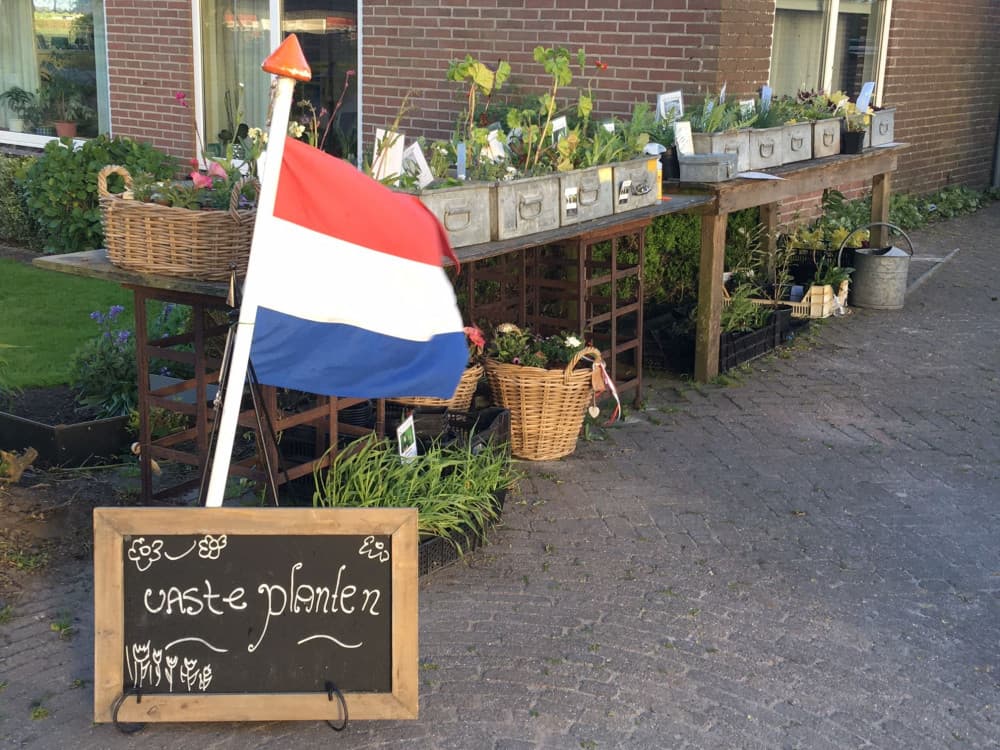 De Vier Seizoenen vaste- en bijzondere planten Westwoud — foto 2