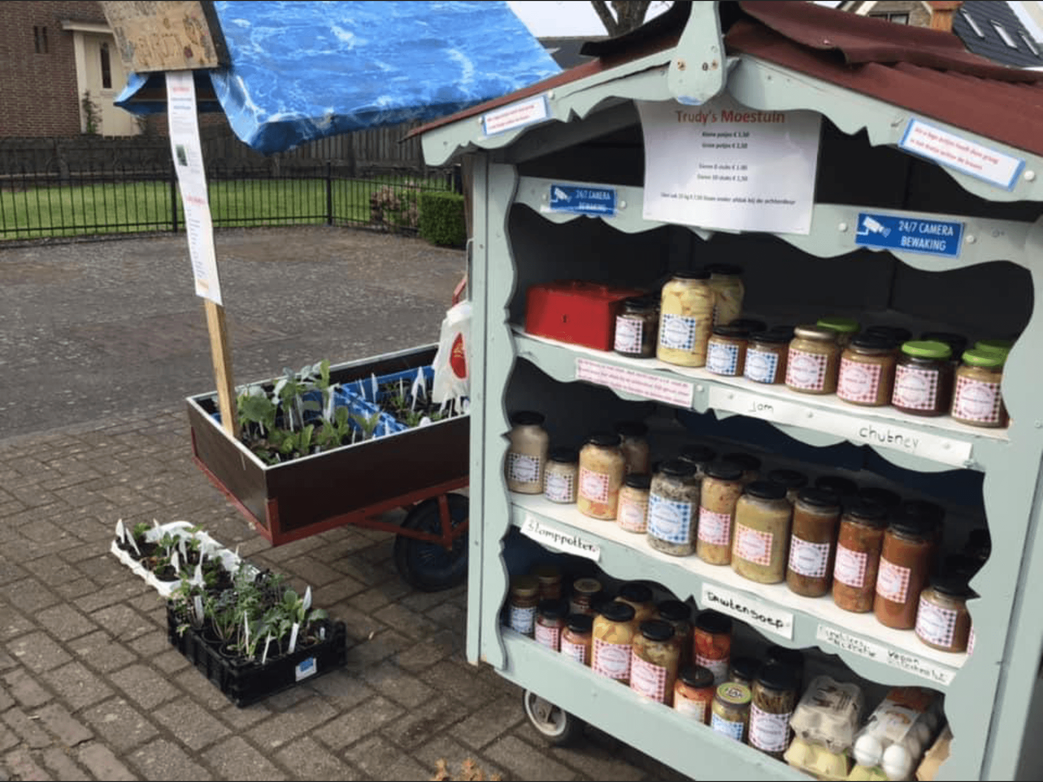Trudy’s moestuin — foto 1