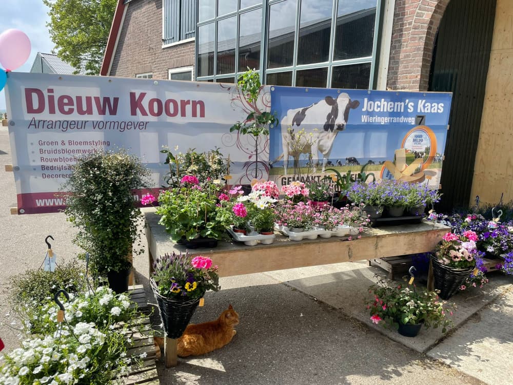 Dieuw's bloemen & Jochem's kaas — foto 1