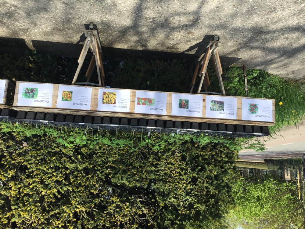 Groenteplantjes en kruiden Dorpsweg 43 — foto 2
