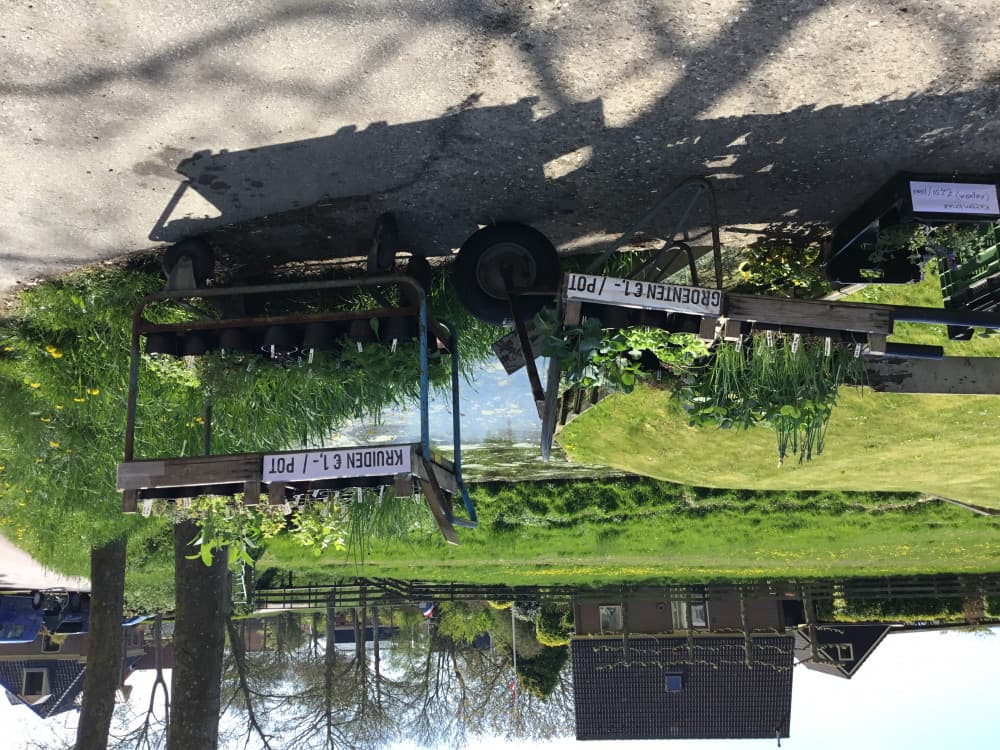 Groenteplantjes en kruiden Dorpsweg 43 — foto 3