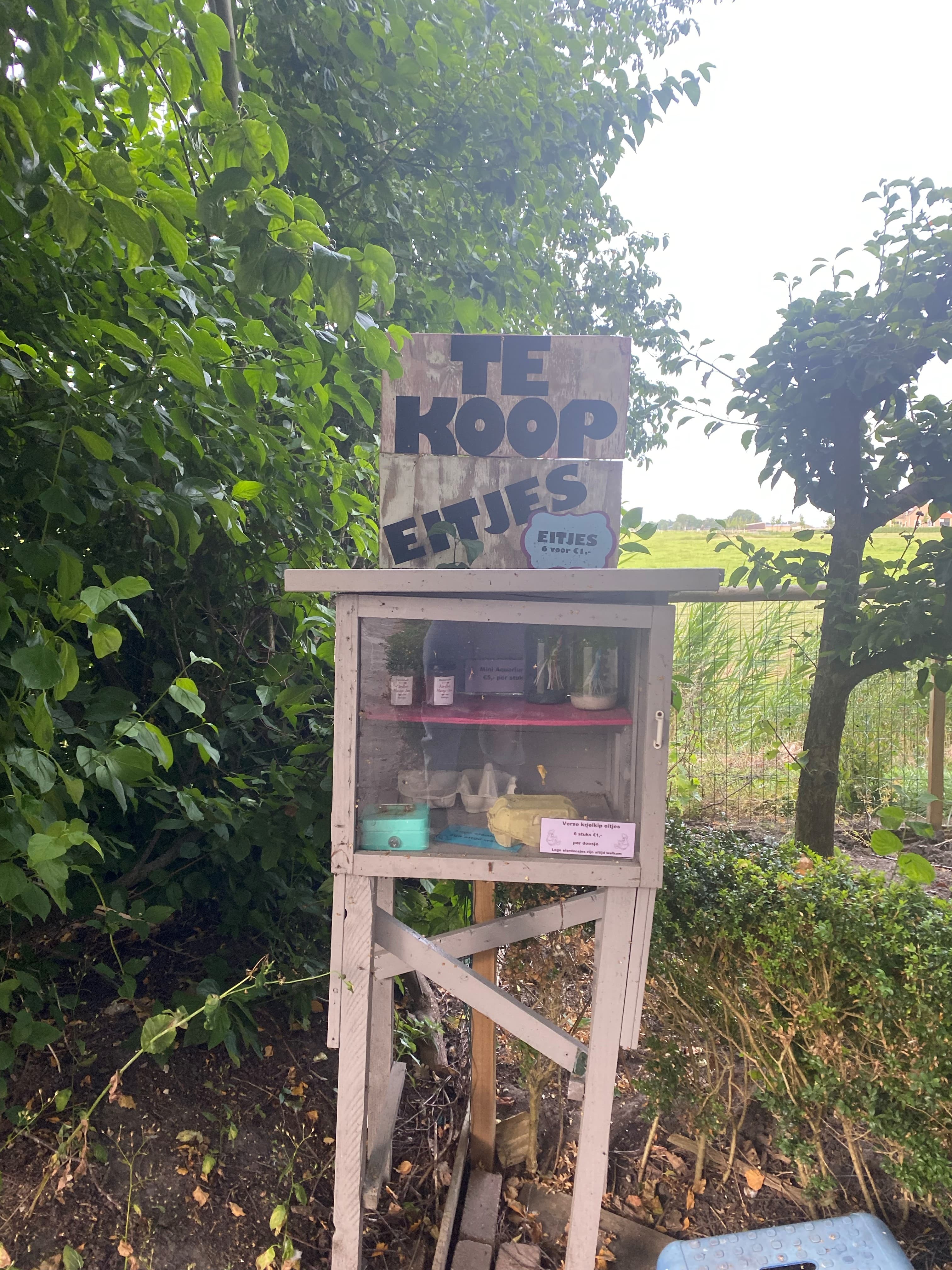 eitjes en meer... — foto 1