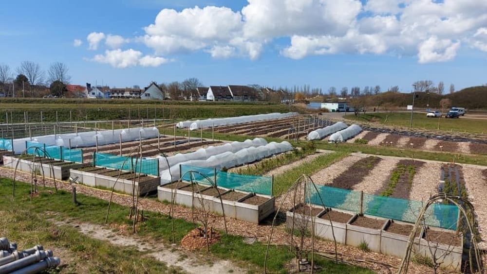 De Groene Stek — foto 1
