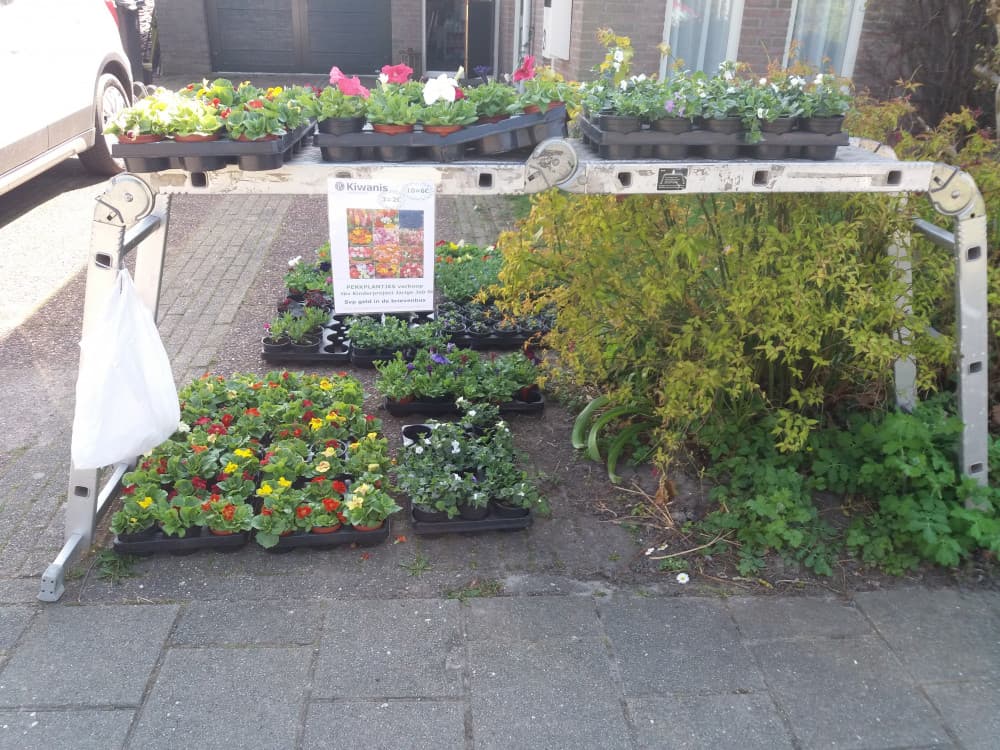 Tuinplantjes voor het goede doel — foto 1