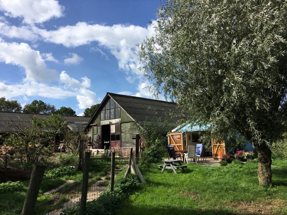 De Schapenstreek — foto 1