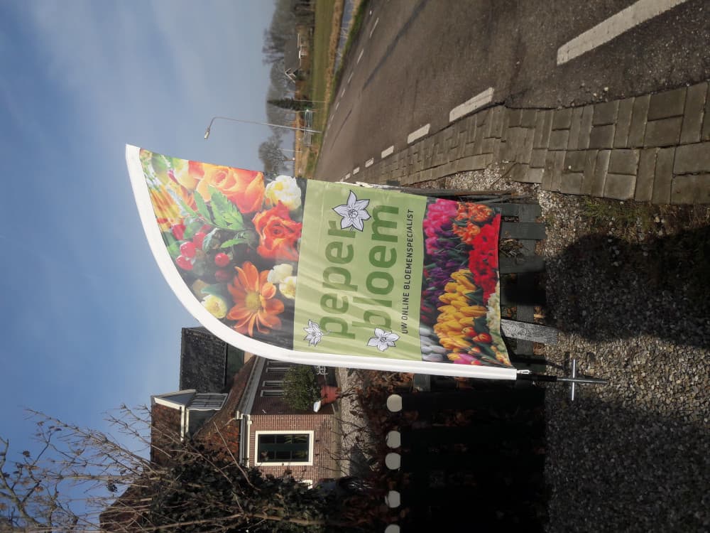 Peperbloem-online — foto 1
