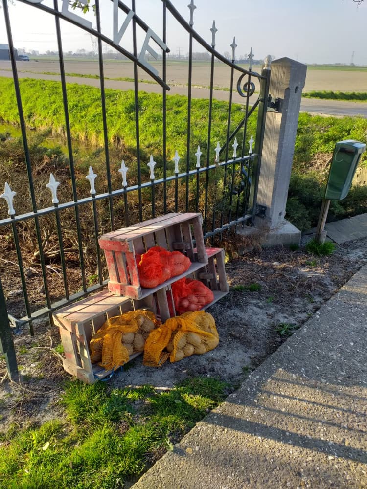 Aardappelen en walnoten Lange molenweg 12 — foto 1